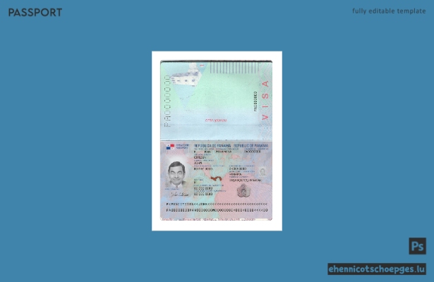 Neuer panamaischer Reisepass (2019–heute): Beispielvorschau